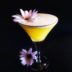 Cocktail Daisy